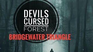 STAY OUT OF THIS CURSED FOREST🚫‼️ Bridgewater Triangle 🔺️ [upl. by Aneelak]