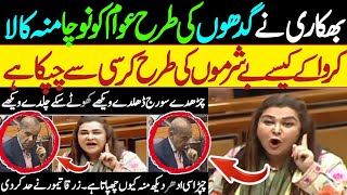 Zarqa Taimur Vs Shahbaz Shariff  منہ کالا کروا کے کیسے بے شرموں کی طرح کرسی سے چپکا ہے چپڑاسی ادھر [upl. by Sydalg]