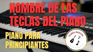 CONOCE TODAS LAS TECLAS DEL PIANO [upl. by Theresa]