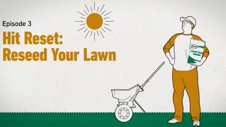 The Scotts Way How to Reseed a Lawn [upl. by Mercado]