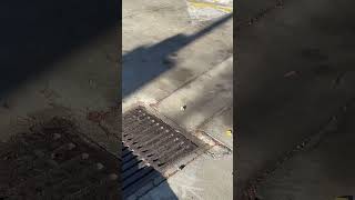 Jiffy Lube did it again automobile drainplug ￼ fall [upl. by Atidnan578]