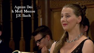 Bach Agnus Dei Mass in B minor BWV 232 [upl. by Mauricio798]