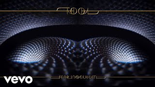 TOOL  Fear Inoculum Audio [upl. by Jenesia]