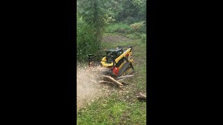 How Fast Forestry Mulcher Clearing Trail [upl. by Wycoff]