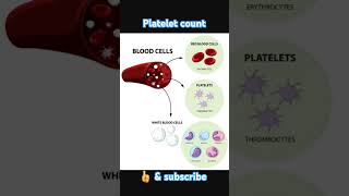 Normal range of platelet count science body human anatomy physiology [upl. by Oivalf321]