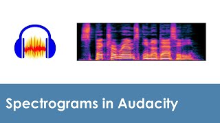 How to use spectrograms in Audacity [upl. by Brandes925]