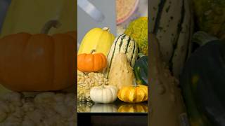 Squash vs Gourd vs 🎃 [upl. by Ocicnarf]