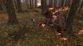 Beware The Flaming Head  Bretonnia versus Warriors of Choas  Total War Warhammer 3 [upl. by Sallee]