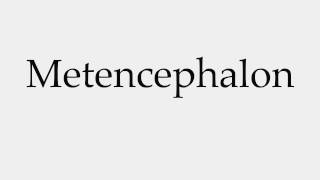 How to Pronounce Metencephalon [upl. by Symon]