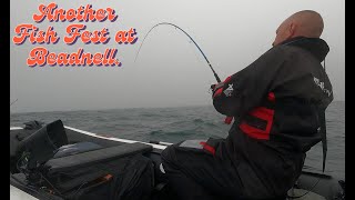 SIB Fishing UK A FOGGY EPIC Cod fest on Bait and Lures Beadnell UK [upl. by Sussman]