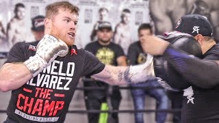 Canelo Álvarez TRAINING CAMP  FULL MEDIA WORKOUT  Canelo vs Kovalev [upl. by Lindblad]