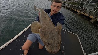 A MONSTER Flathead OFF The Pontoon [upl. by Karilynn]