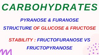 LECTURE  8 PYRANOSE amp FURANOSE STRUCTURE OF GLUCOSE amp FRUCTOSE  FRUCTOFURANOSE VS FRUCTOPYRANOSE [upl. by Gniy468]