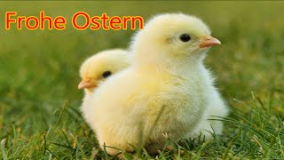 Ostergrüße 2024 kostenlos Ich wünsche dir frohe Ostern Grüße Gruß zu Ostern [upl. by Revorg]