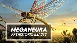 Meganeura  A Giant Carboniferous Griffenly [upl. by Berlauda172]