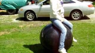 24 inch black hoppity hop ball [upl. by Akiret]