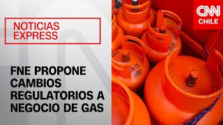 FNE recomienda prohibir que Gasco Abastible y Lipigas participen en la distribución de gas licuado [upl. by Eidson310]