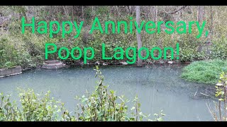 1 Year Anniversary of the Brook Street Poop Lagoon and Sht Creek Carrick Pittsburgh [upl. by Ekusuy]