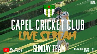 Capel Sunday 1st XI Vs Abinger Sunday 1st XI [upl. by Atener]