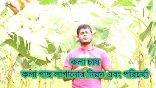 কলা গাছ লাগানোর নিয়ম ও পরিচর্যা। [upl. by Latin744]