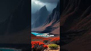 Discover Socotra Islands Unique Ecosystem [upl. by Gurney]