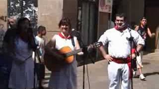 Fiestas de Tudela 08  Jotas Navarras  Beterri [upl. by Ahsenak]