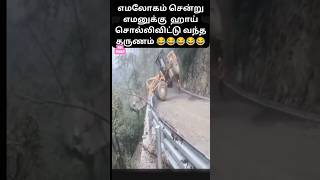 வரக்கூடாத எடத்துக்கு வந்து மாட்டிக்கிட்டோம் பங்கு நம்ம  Funny Comedy Video  Tamizhan955 [upl. by Htepsle]