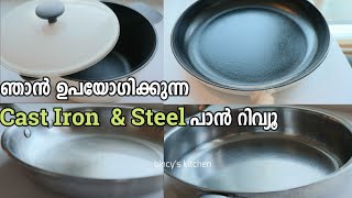 ഞാൻ ഉപയോഗിക്കുന്ന Cast Iron amp Steel പാൻ റിവ്യൂ  My Cast Iron and Steel Pan Review [upl. by Thynne]