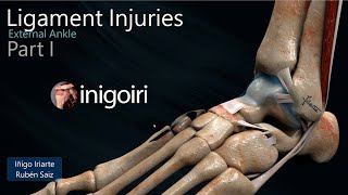 LATERAL LIGAMENT INJURIES OF THE ANKLE PART I [upl. by Rydder]