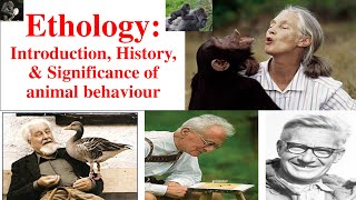 Ethology  Animal Behaviour  Introduction of Ethology History of Ethology Psychology and Ethology [upl. by Silletram472]