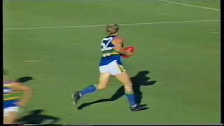 1994 Round 4 Eagles 1723 125 d Sturt 199 123 [upl. by Annaul52]