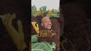 Iman Jordan  Collard Greens in Paradise feat Figgy Baby Official Lyric Video [upl. by Sherurd294]