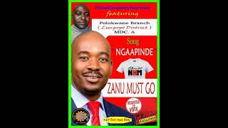 Dzimwe Nyika Dzapindira  Ngaapinde Hake Mukomana song 2 Headmasterburusa ft MDC A Limpopo province [upl. by Tremayne704]