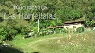 Mucuposada Las Hortensias en La Coromoto Canagua Mérida Venezuela [upl. by Annelise236]