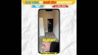 New Yorks SMALLEST Apartment shorts shortstory storyinhindi ytshorts [upl. by Bultman]