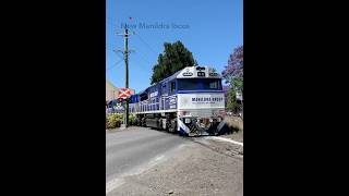 New Manildra locos trains trainspotting [upl. by Potts368]