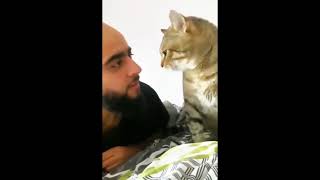 Funniest Cats and Dogs 🐶🐱  Funny Animal Videos fannyvideo [upl. by Yecak522]