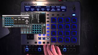 MAudio Trigger Finger Pro Overview 3 of 3  Step Sequencer [upl. by Esadnac]