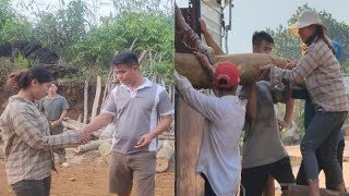 Go harvest rice from people  work as a laborer loading wood to earn extra income [upl. by Amaral]