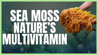 Why Is Everyone Talking About Sea Moss 10 Benefits You Need to Know [upl. by Julee]