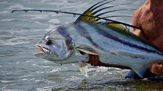 Costa Rica Roosterfish From The Beach and a hook through my finger [upl. by Annahc]