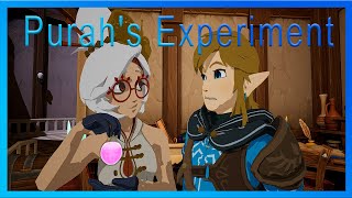 Purahs Experiment Zelda fan animation [upl. by Ytima]