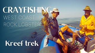 Watch how we catch crayfish in South Africa  West Coast Rock Lobster Season 20212022 [upl. by Hallagan]