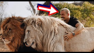 Un homme ukrainien a sauvé ce lion et ses petits Des années plus tard CECI s’est produit [upl. by Tabina886]