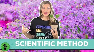 The Scientific Method [upl. by Shaylyn]