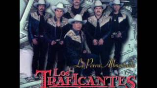 corrido de gregorio miranda Los Traficantes Del Norte [upl. by Yllor]