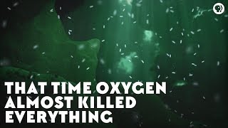 That Time Oxygen Almost Killed Everything [upl. by Adirem]