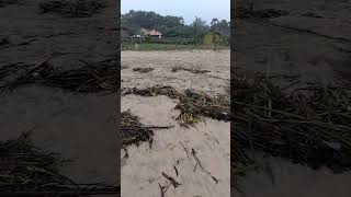 Fengal puyal cyclone aftermath cyclone puducherry pondicherry subscribe now [upl. by Sanez466]