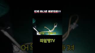 집게 하나로 다 잡는다 리얼깽TV 밤해루질 밤낚시 리얼 재미 [upl. by Aciram]