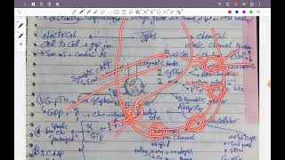 L3 physiology synaptic transmission cns 42 [upl. by Lurette476]